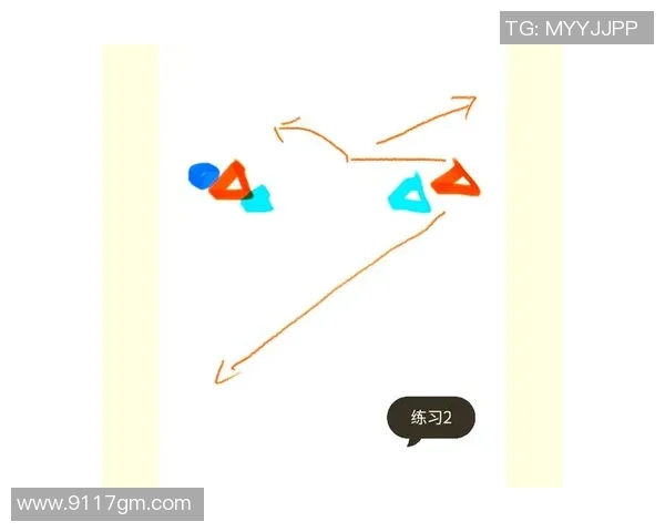 南京飞盘队区域防守策略深度解析与战术应用探讨